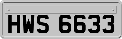 HWS6633
