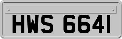 HWS6641