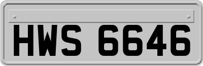 HWS6646