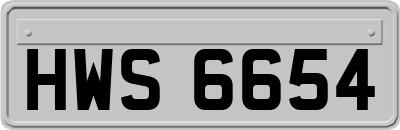 HWS6654