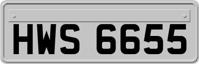 HWS6655