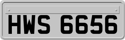 HWS6656