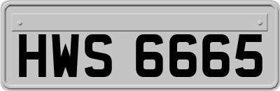 HWS6665