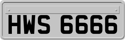 HWS6666
