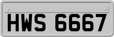 HWS6667