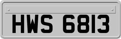 HWS6813