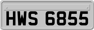 HWS6855