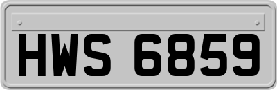 HWS6859