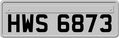 HWS6873