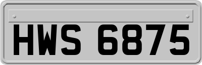 HWS6875