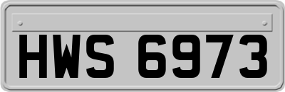 HWS6973