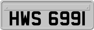 HWS6991