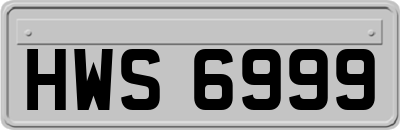 HWS6999