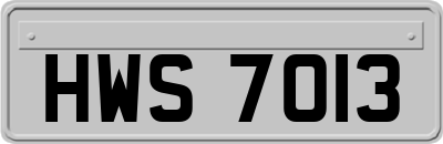 HWS7013