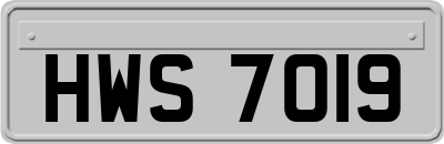 HWS7019