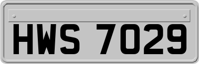 HWS7029