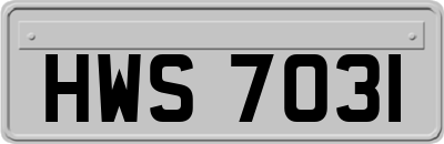 HWS7031