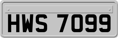 HWS7099