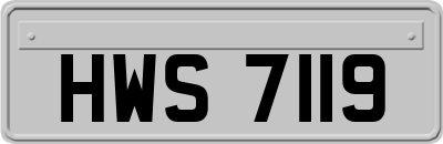 HWS7119