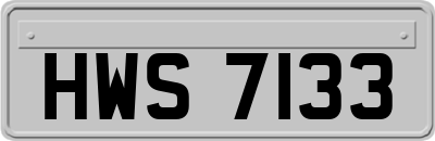 HWS7133