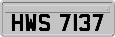 HWS7137