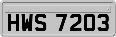 HWS7203