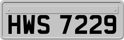 HWS7229