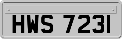 HWS7231