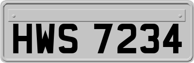HWS7234