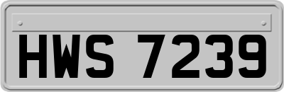 HWS7239