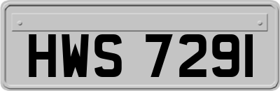 HWS7291