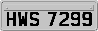 HWS7299
