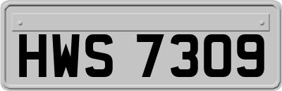 HWS7309