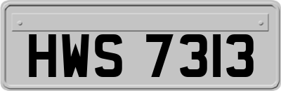 HWS7313