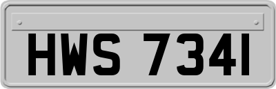 HWS7341