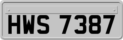 HWS7387