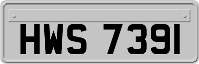 HWS7391