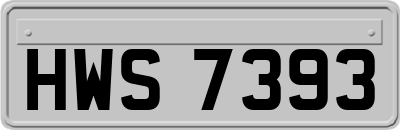 HWS7393