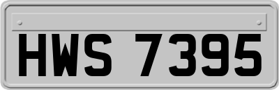 HWS7395