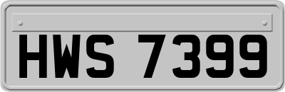 HWS7399