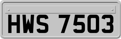 HWS7503