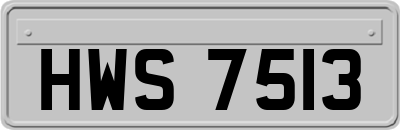 HWS7513