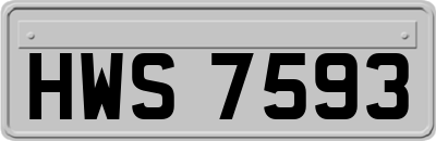 HWS7593