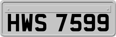 HWS7599