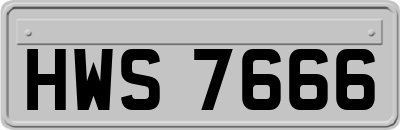 HWS7666