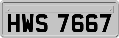 HWS7667