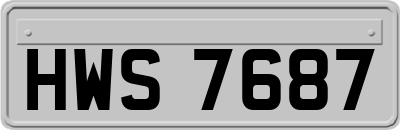 HWS7687
