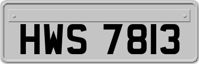 HWS7813