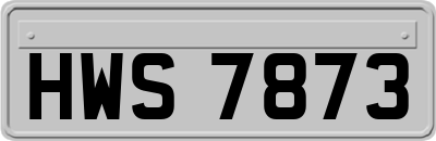 HWS7873