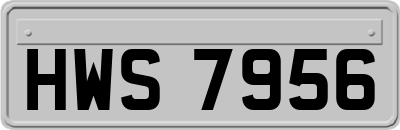 HWS7956